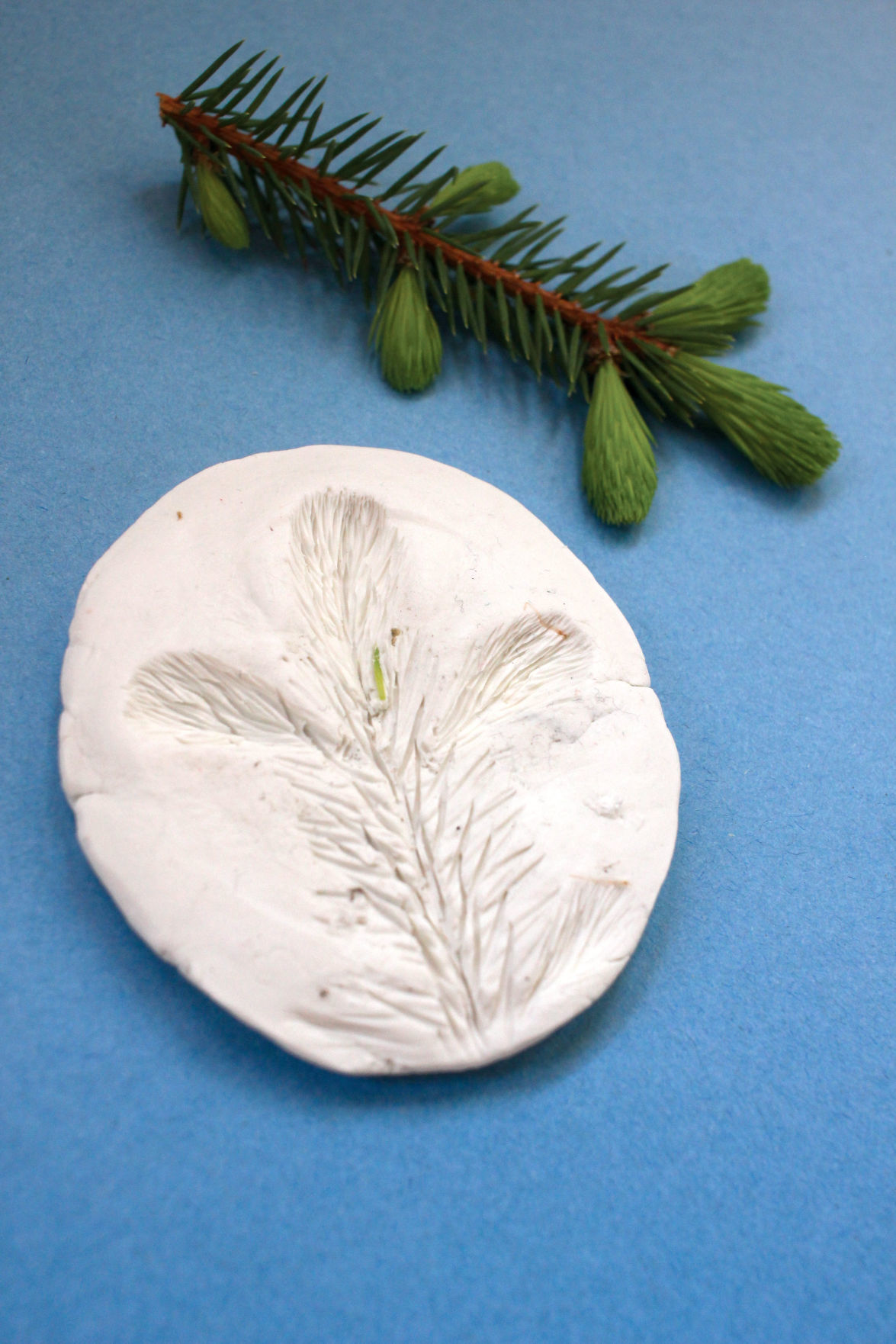 Clay medallion craft